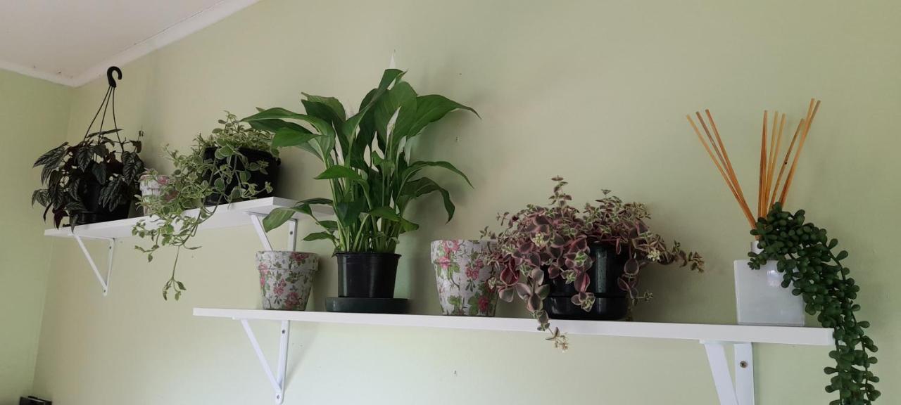 Earthsounds Country Cottage Taumarunui Esterno foto