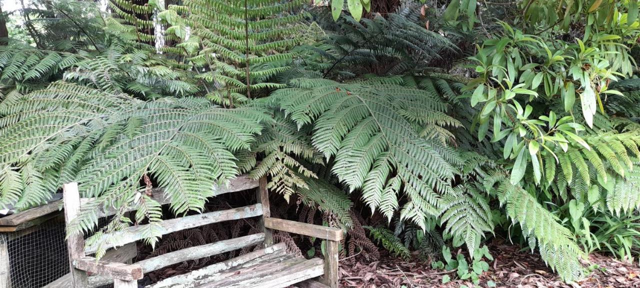Earthsounds Country Cottage Taumarunui Esterno foto