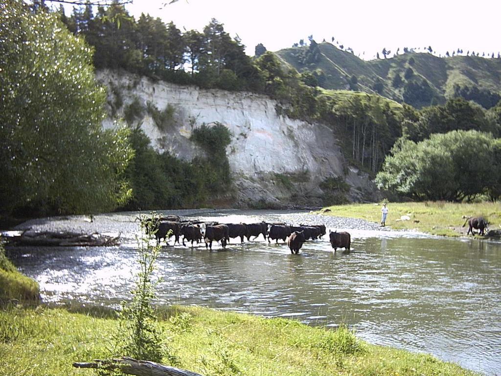 Earthsounds Country Cottage Taumarunui Esterno foto
