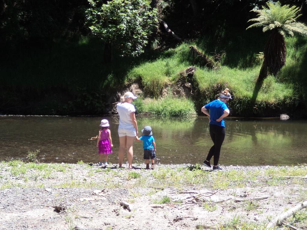 Earthsounds Country Cottage Taumarunui Camera foto