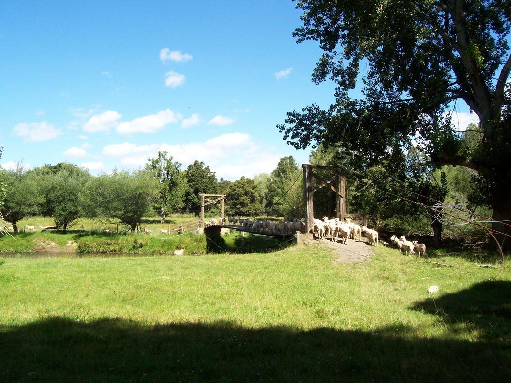Earthsounds Country Cottage Taumarunui Camera foto