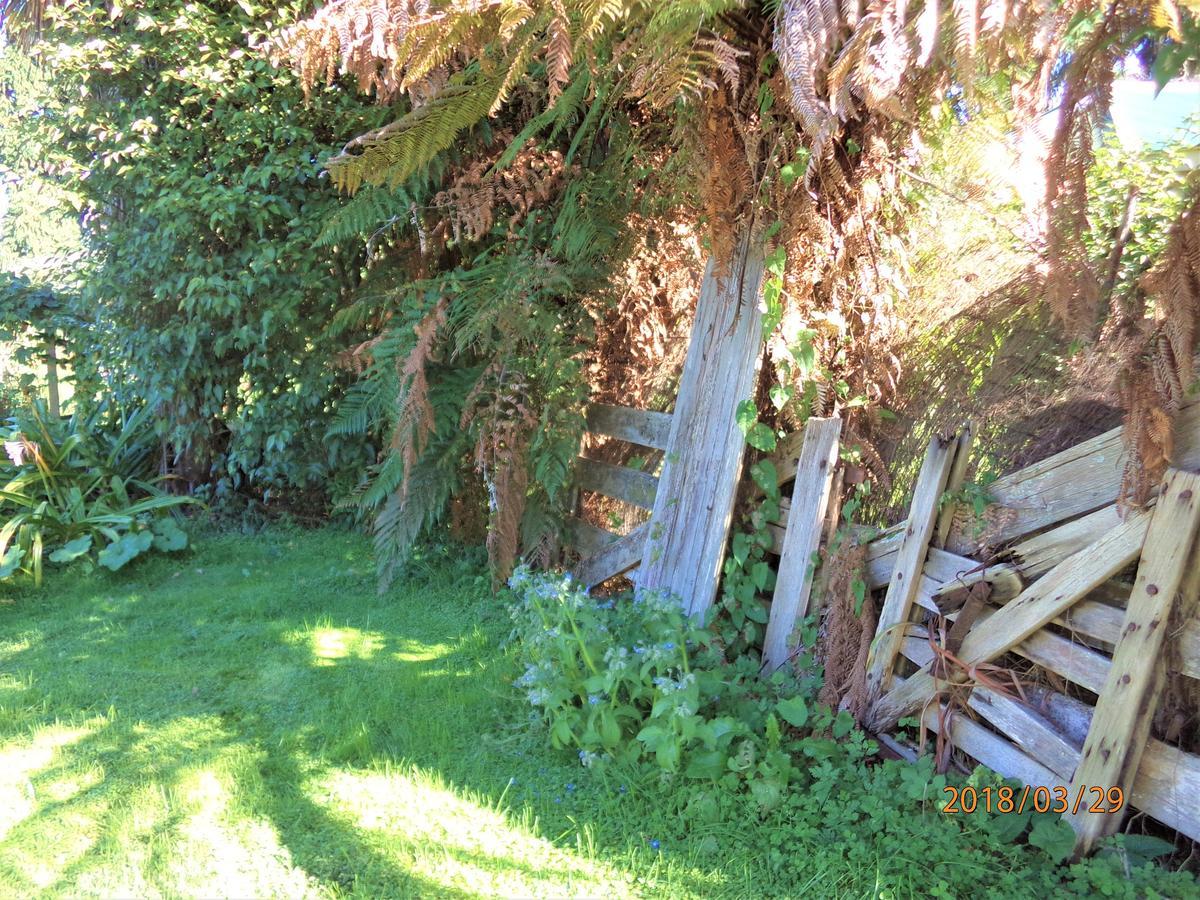 Earthsounds Country Cottage Taumarunui Esterno foto